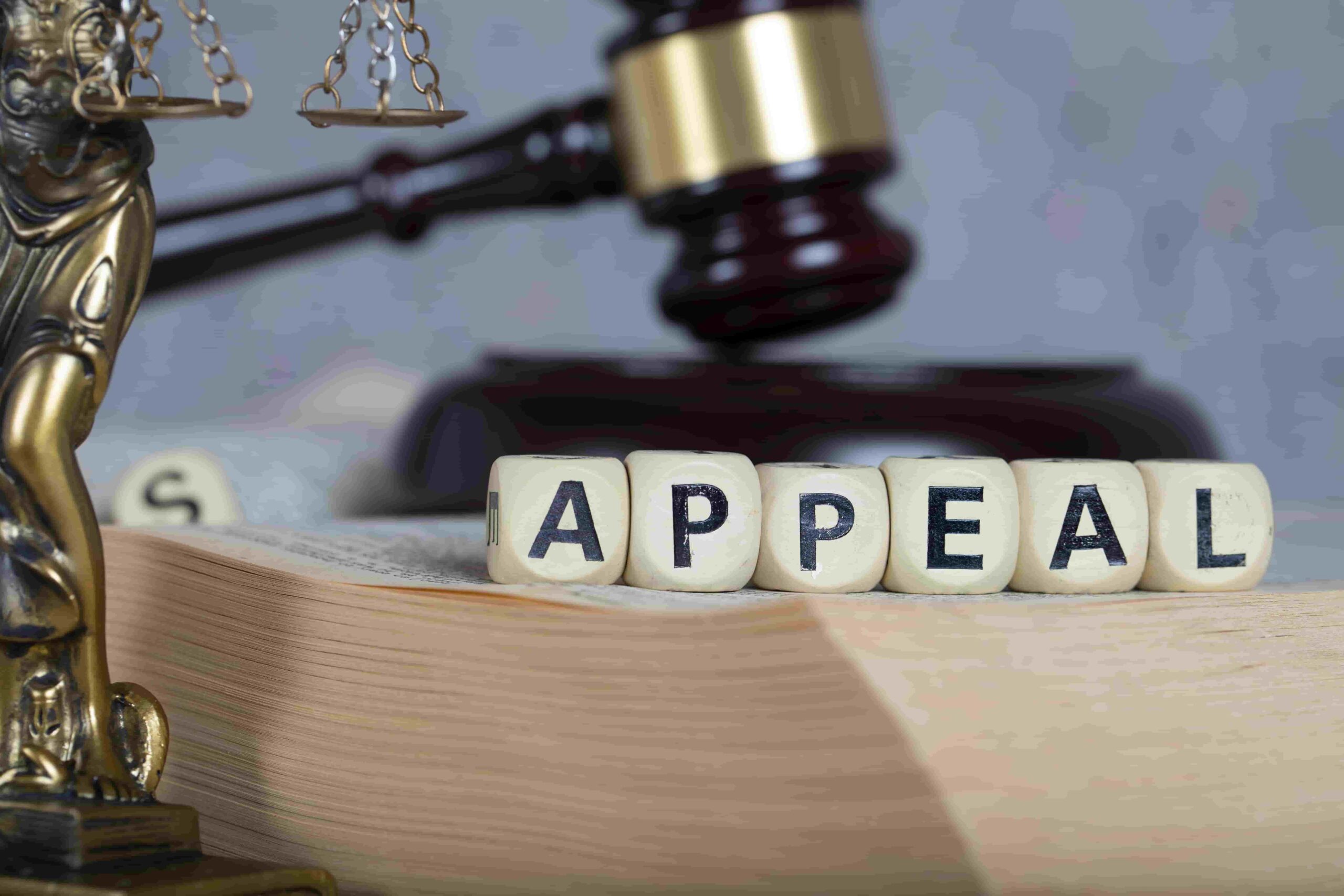 Federal appeals