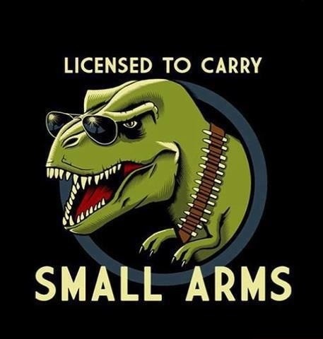 small-arms