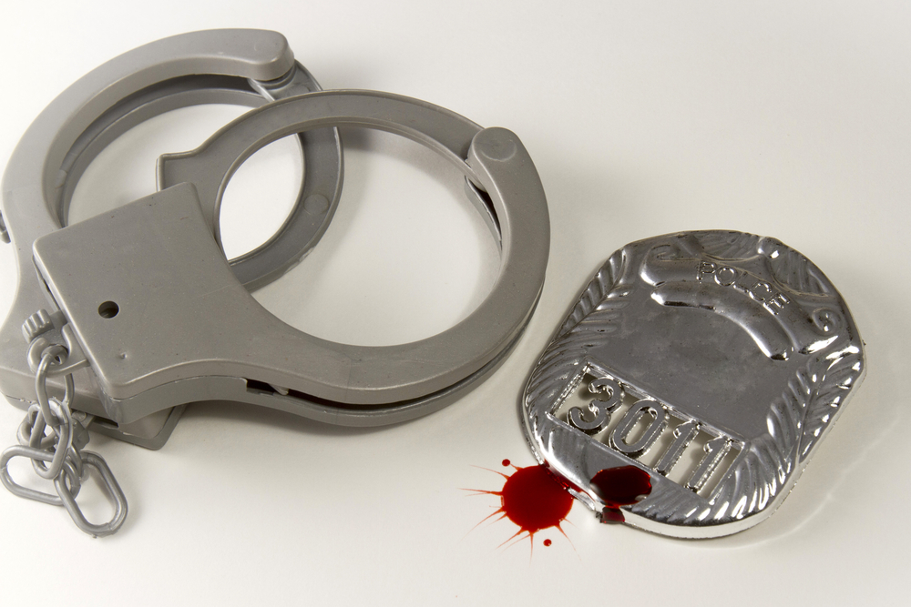 Reasonable and excessive Force